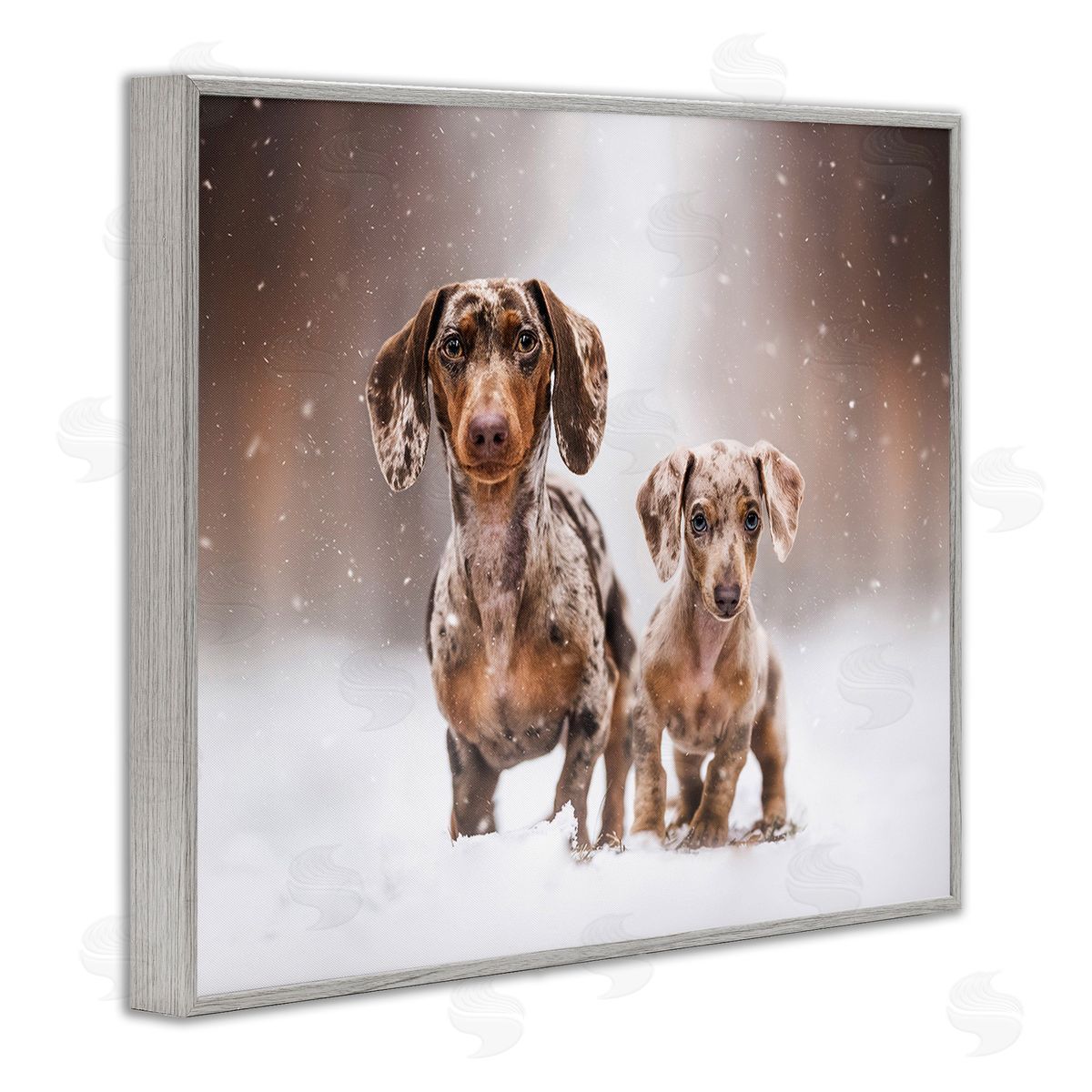 Natalie Grosse Playing Puppies in Snow