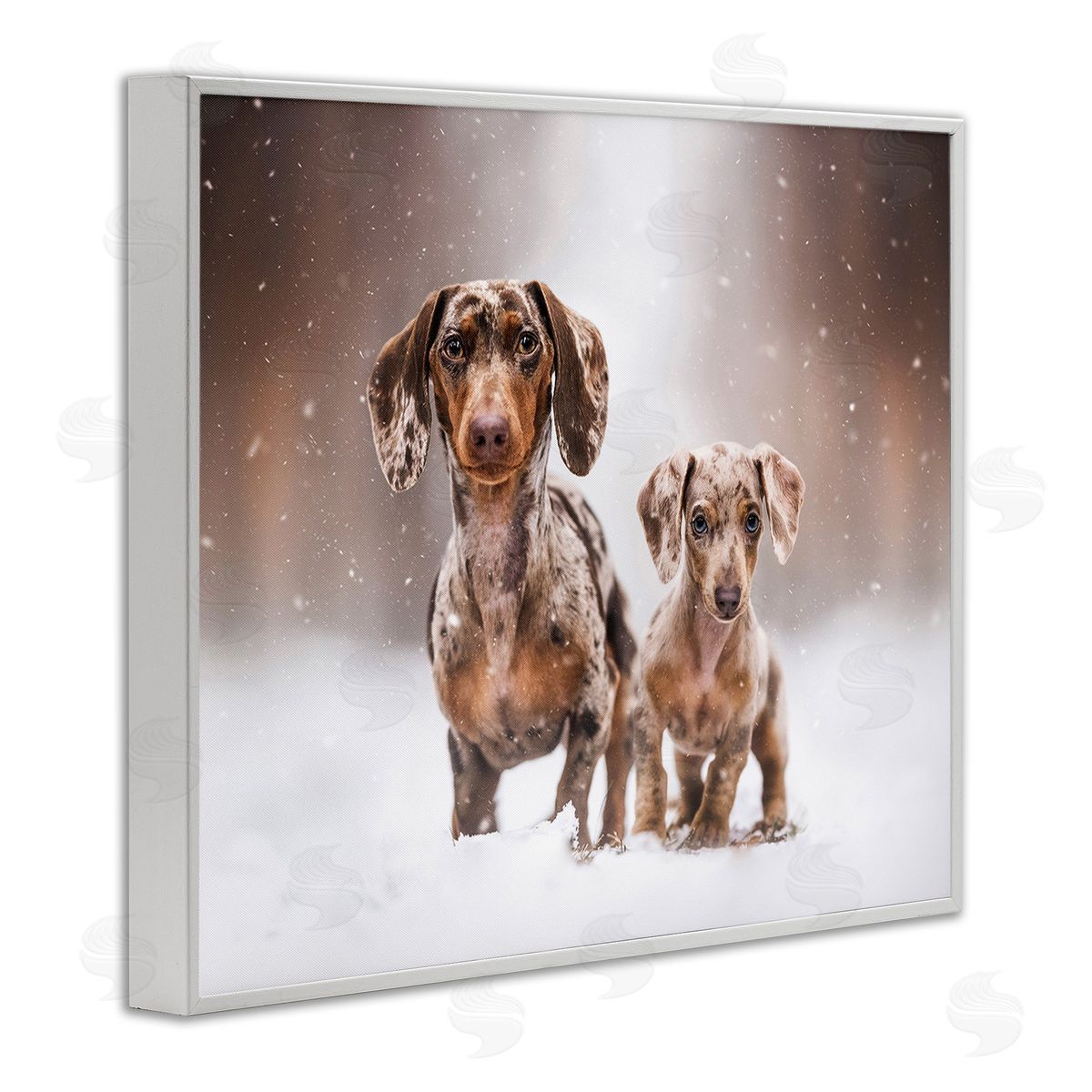 Natalie Grosse Playing Puppies in Snow