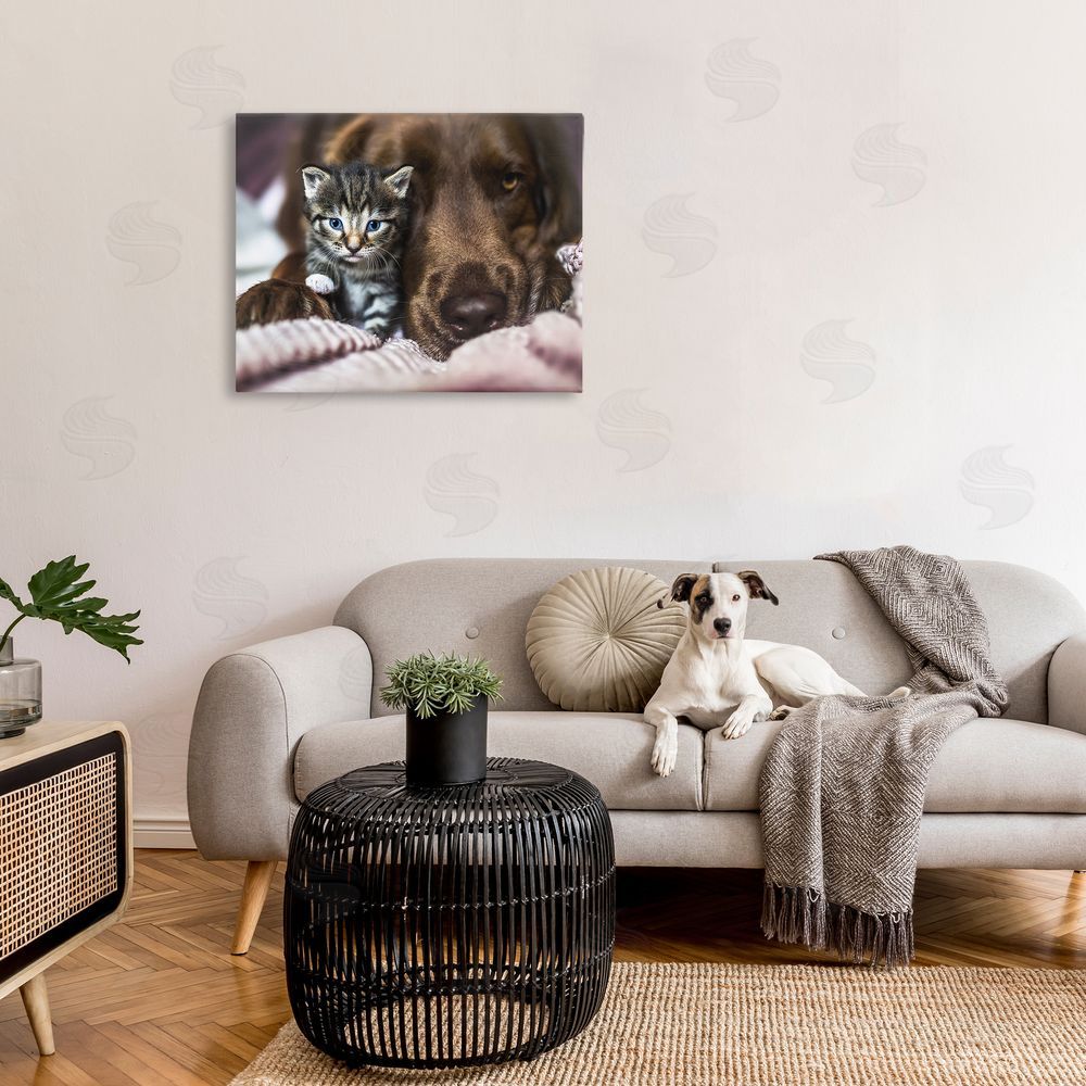 Natalie Grosse Kitten & Dog Snuggling