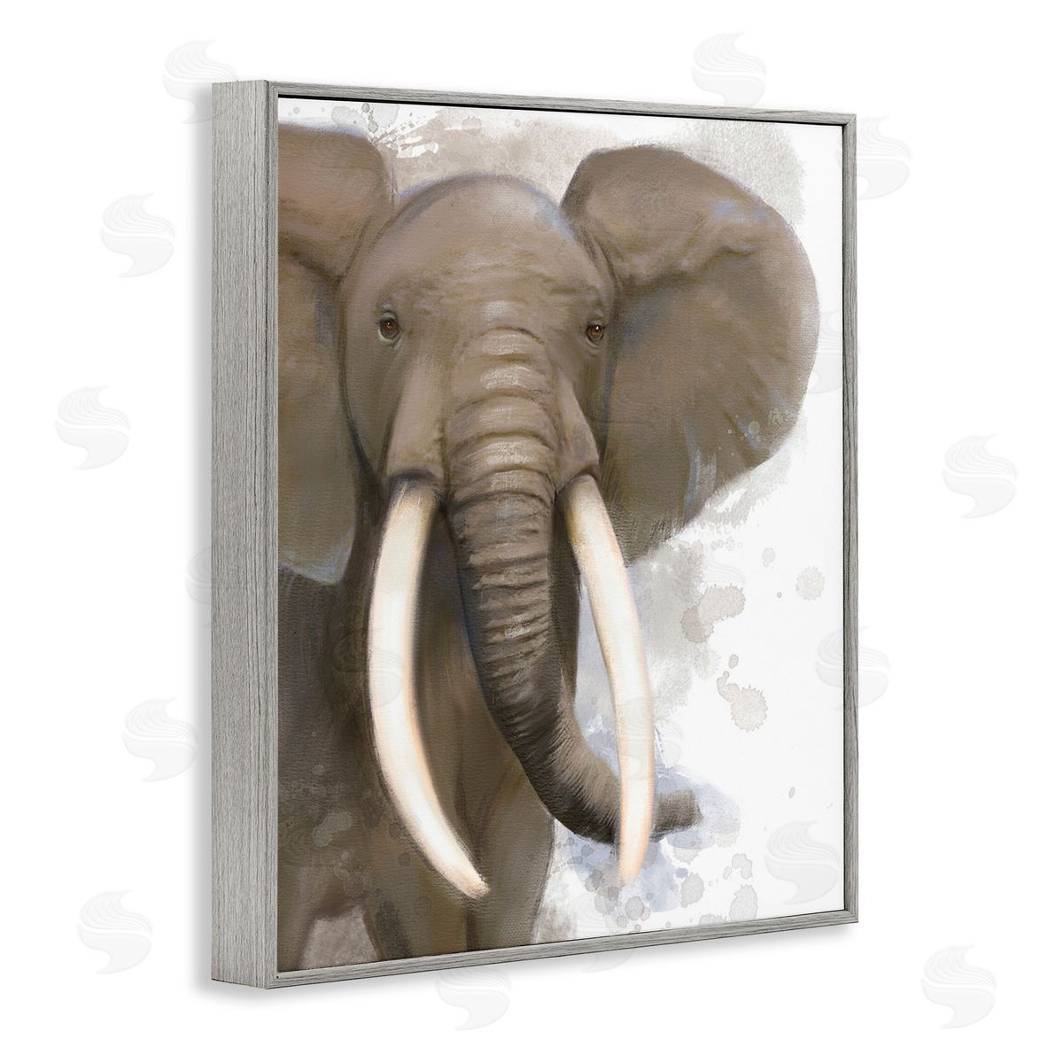 Matthew Piotrowicz Elephant & Modern Splash