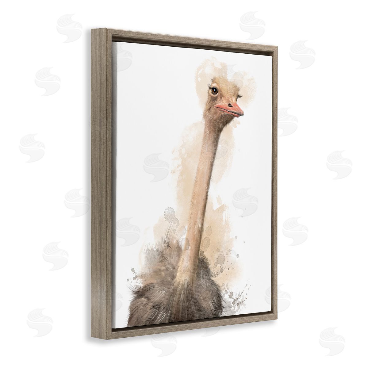 Matthew Piotrowicz Ostrich & Modern Splatter