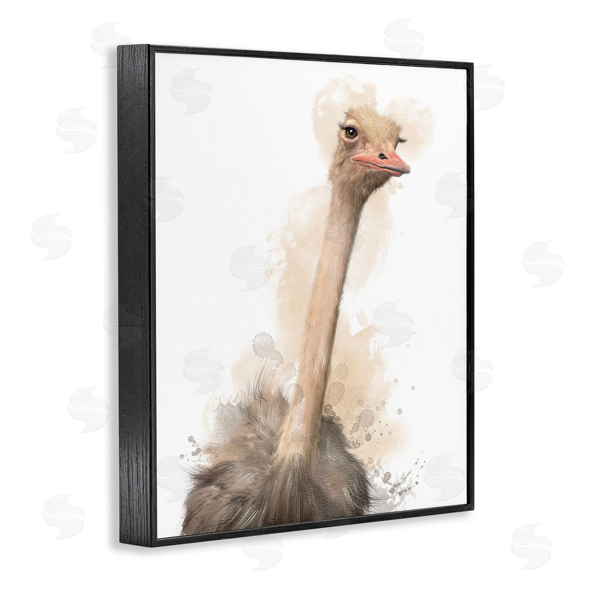 Matthew Piotrowicz Ostrich & Modern Splatter