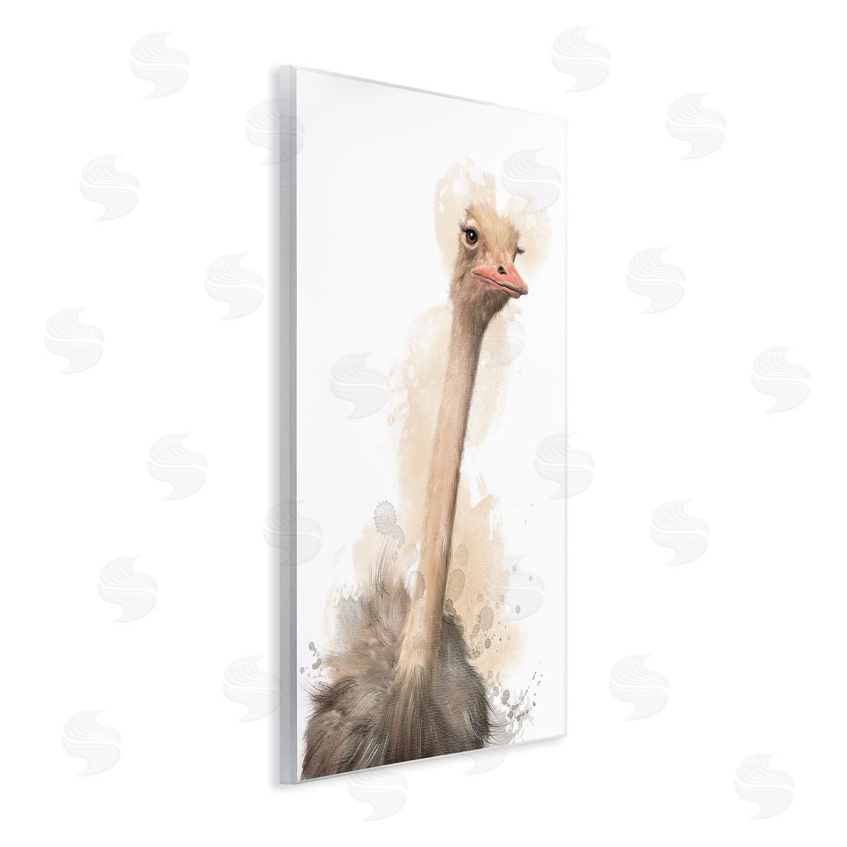 Matthew Piotrowicz Ostrich & Modern Splatter