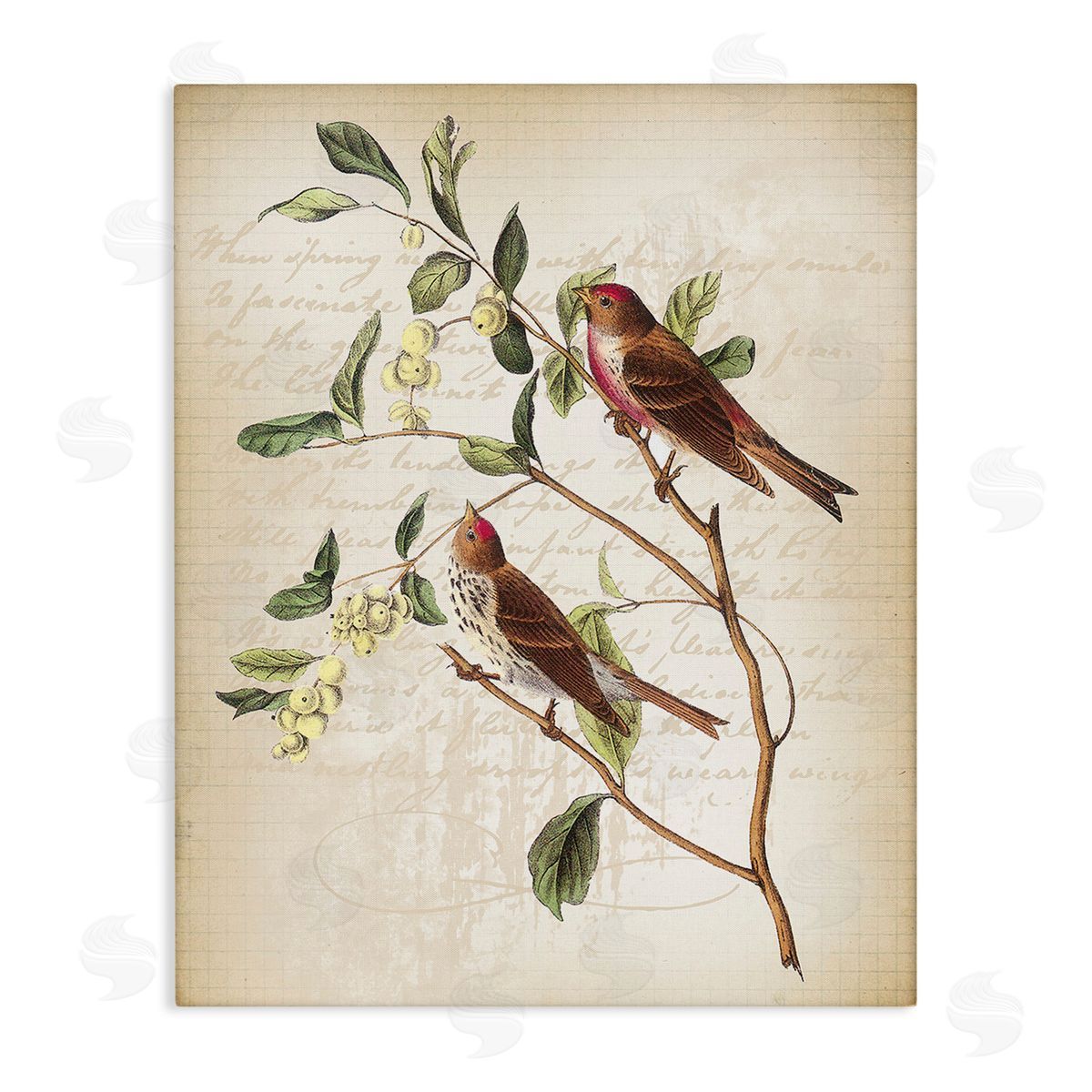 Lula Bijoux & co. Birds with Vintage Cursive