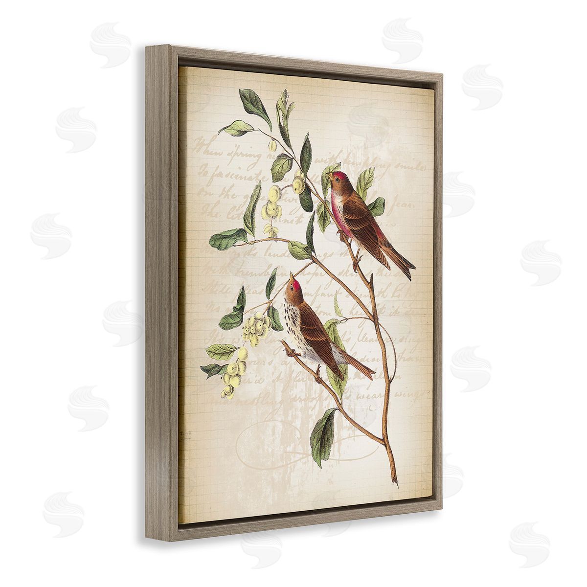 Lula Bijoux & co. Birds with Vintage Cursive