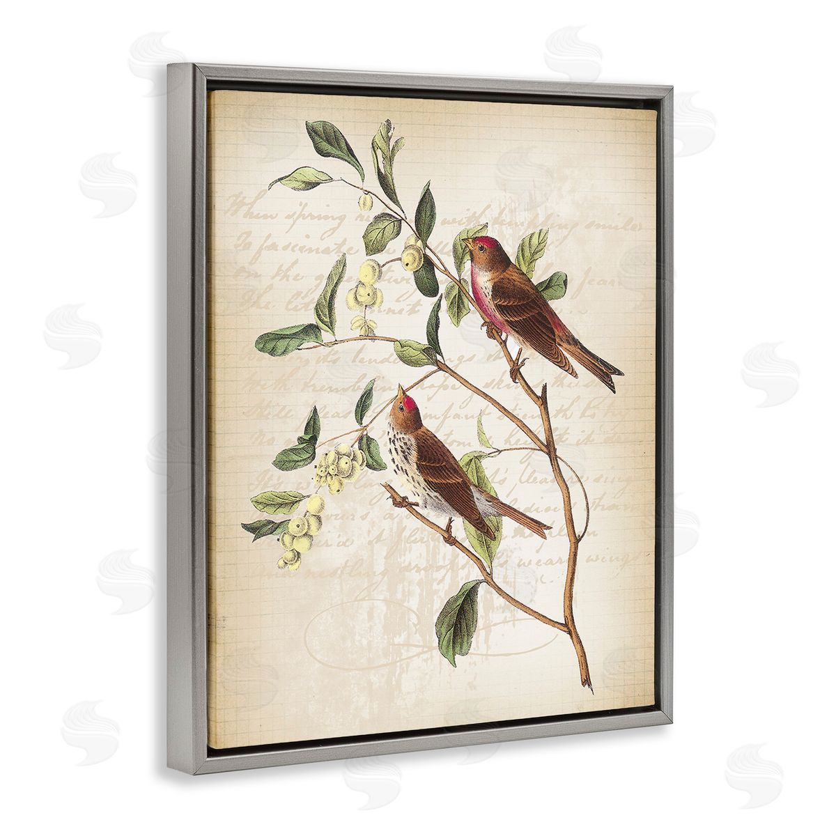Lula Bijoux & co. Birds with Vintage Cursive