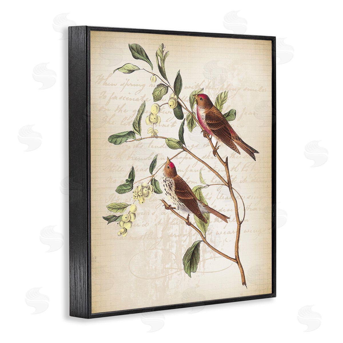 Lula Bijoux & co. Birds with Vintage Cursive