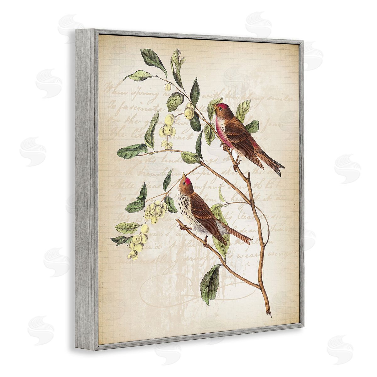 Lula Bijoux & co. Birds with Vintage Cursive