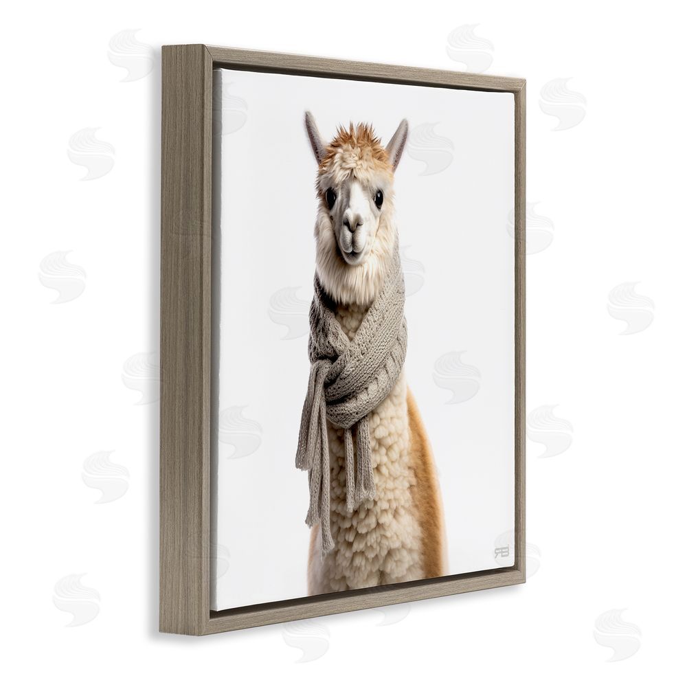 RB Llama Wearing Scarf Brown Floating Frame Canvas Wall Art Print