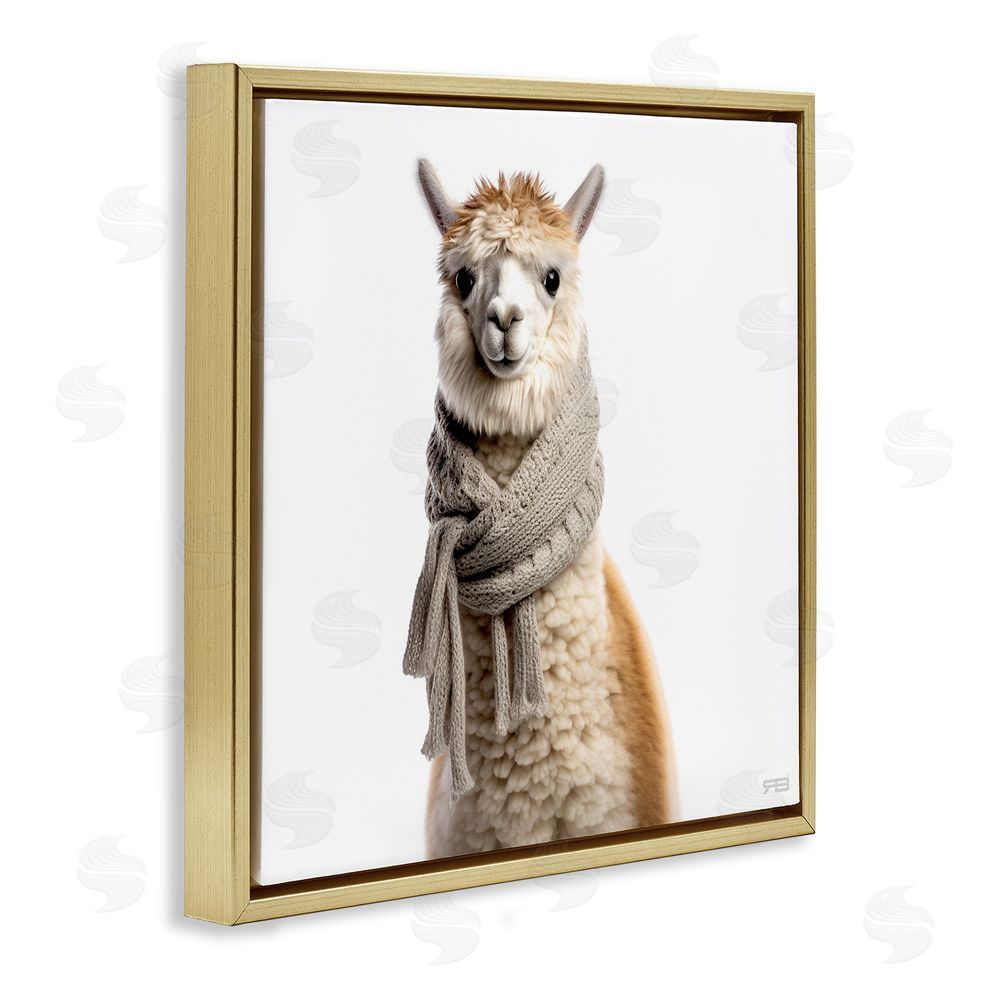 RB Llama Wearing Scarf Gold Floating Frame Canvas Wall Art Print