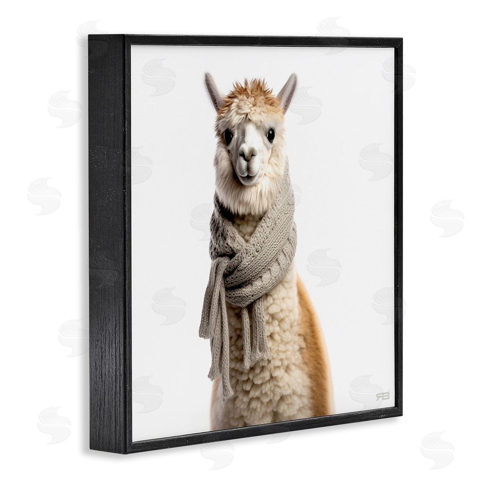 RB Llama Wearing Scarf Black Framed Glicee Wall Art Print