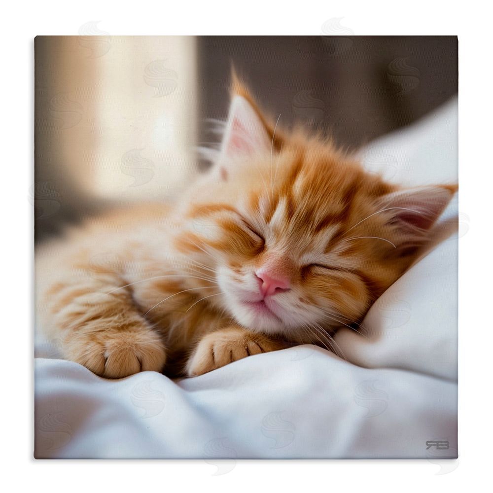 RB Sleeping Orange Kitten Stretched Canvas Wall Art Print