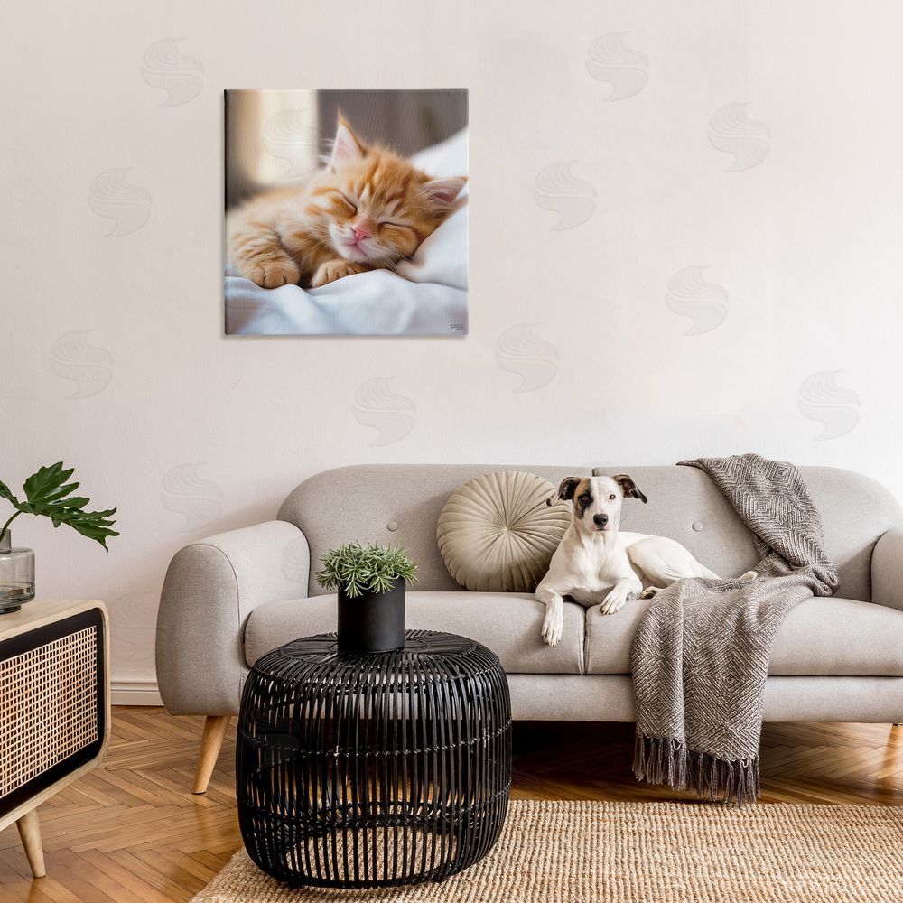 RB Sleeping Orange Kitten Canvas Wall Art in Room