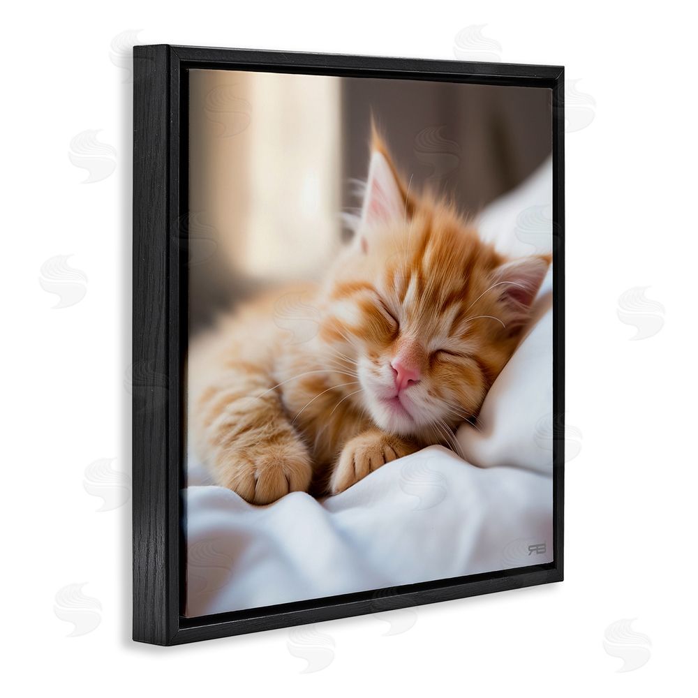 RB Sleeping Orange Kitten Black Floating Frame Canvas Wall Art Print