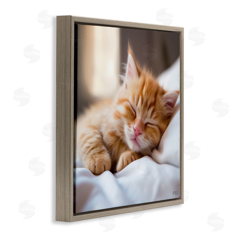 RB Sleeping Orange Kitten Brown Floating Frame Canvas Wall Art Print