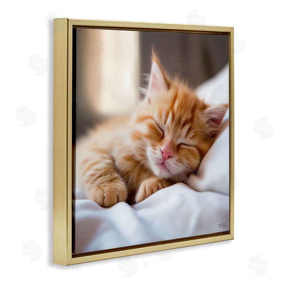 RB Sleeping Orange Kitten Gold Floating Frame Canvas Wall Art Print