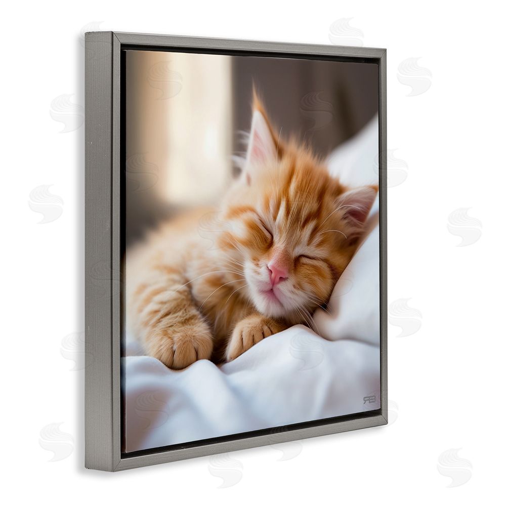 RB Sleeping Orange Kitten Gray Floating Frame Canvas Wall Art Print