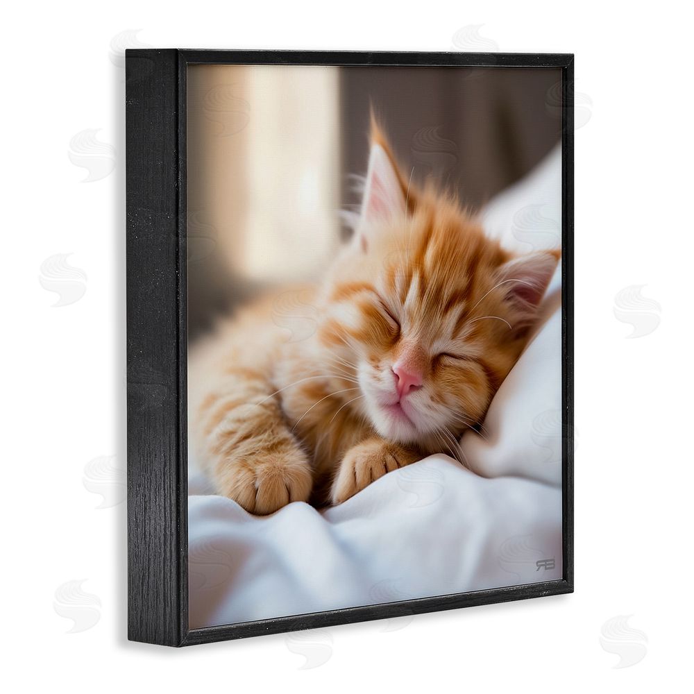 RB Sleeping Orange Kitten Black Framed Glicee Wall Art Print