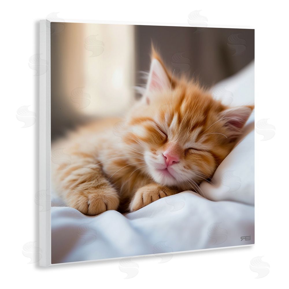RB Sleeping Orange Kitten Wooden Wall Plaque Art Print