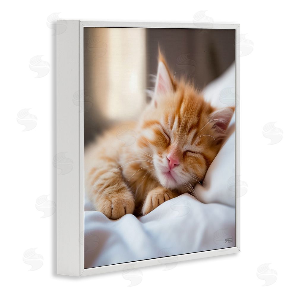 RB Sleeping Orange Kitten White Framed Glicee Wall Art Print