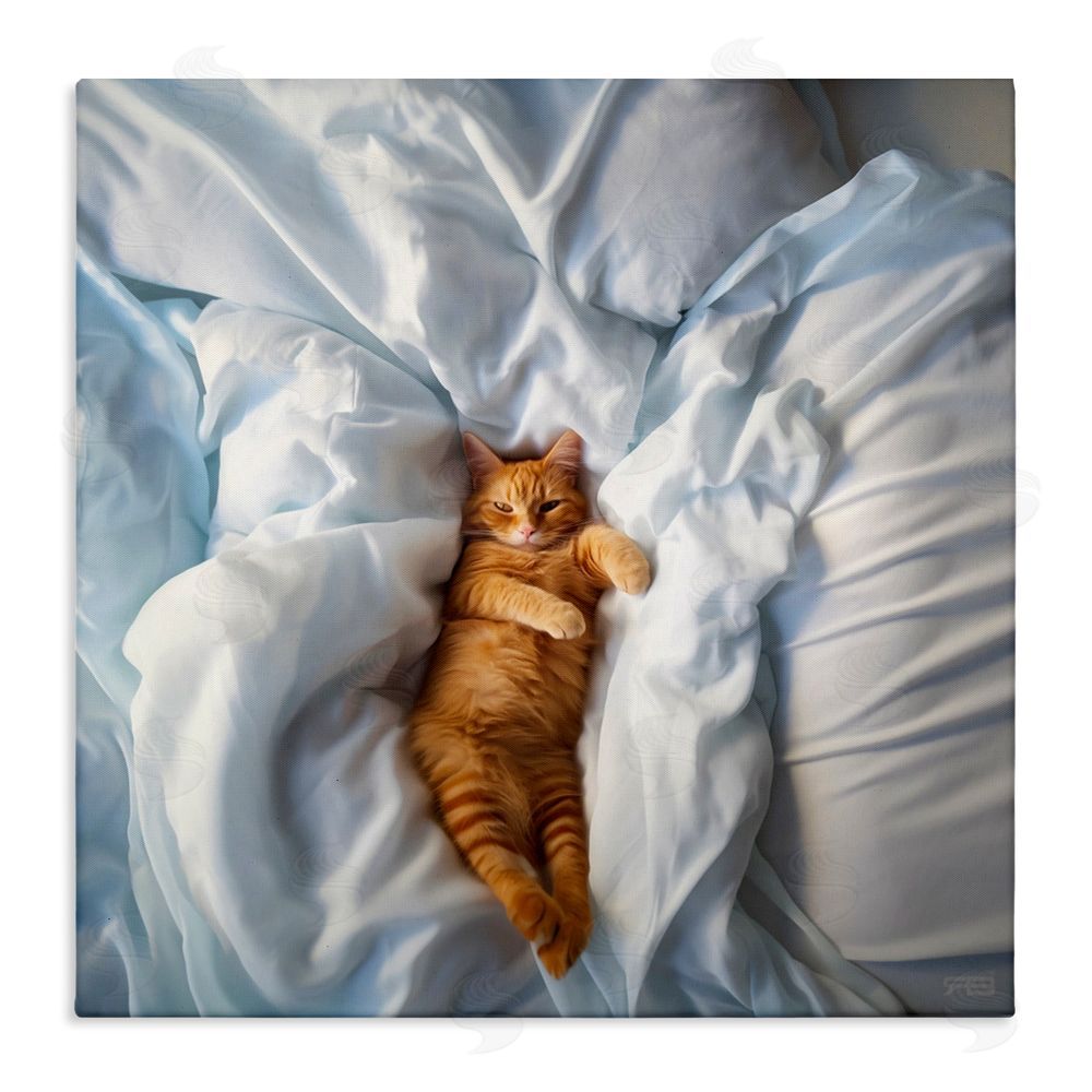 RB Sprawled Orange Cat Stretched Canvas Wall Art Print