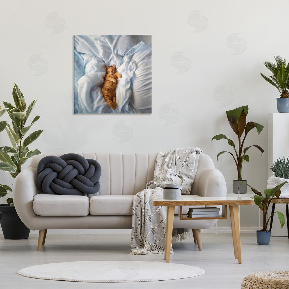 RB Sprawled Orange Cat Canvas Wall Art in Room