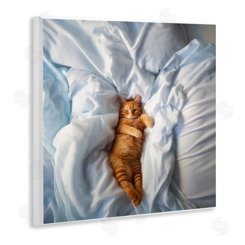RB Sprawled Orange Cat Wooden Wall Plaque Art Print