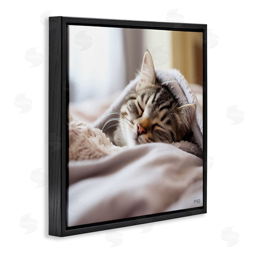 RB Cozy Sleeping Kitten Black Floating Frame Canvas Wall Art Print
