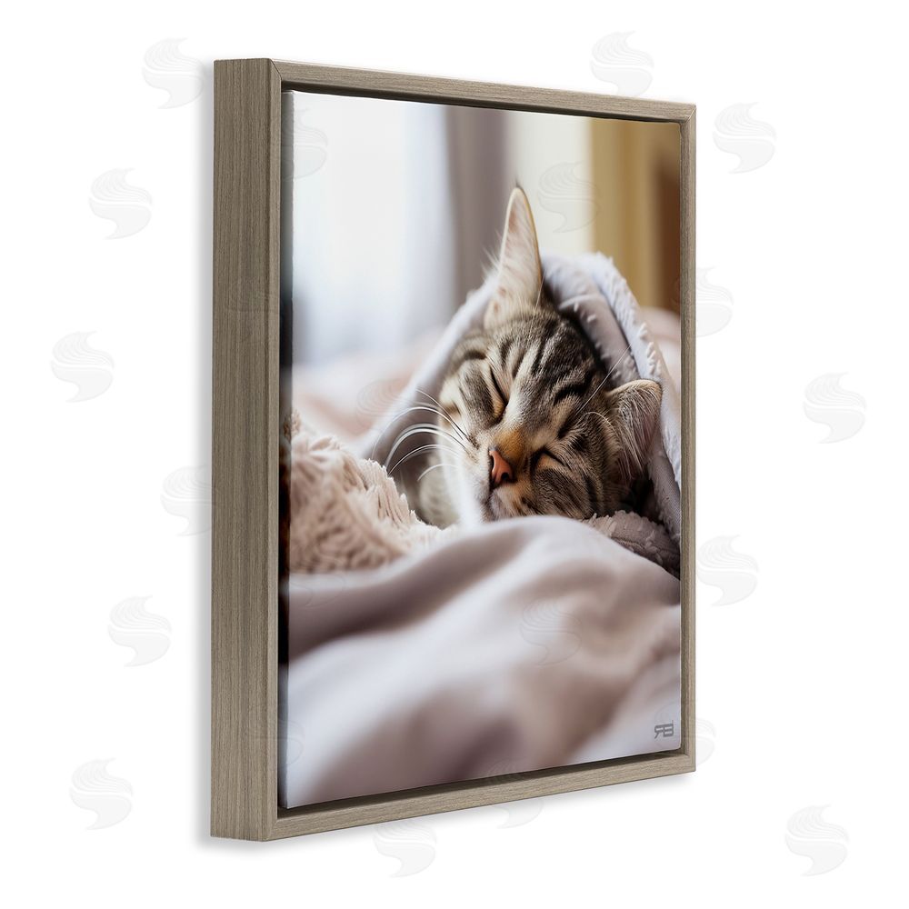 RB Cozy Sleeping Kitten Brown Floating Frame Canvas Wall Art Print