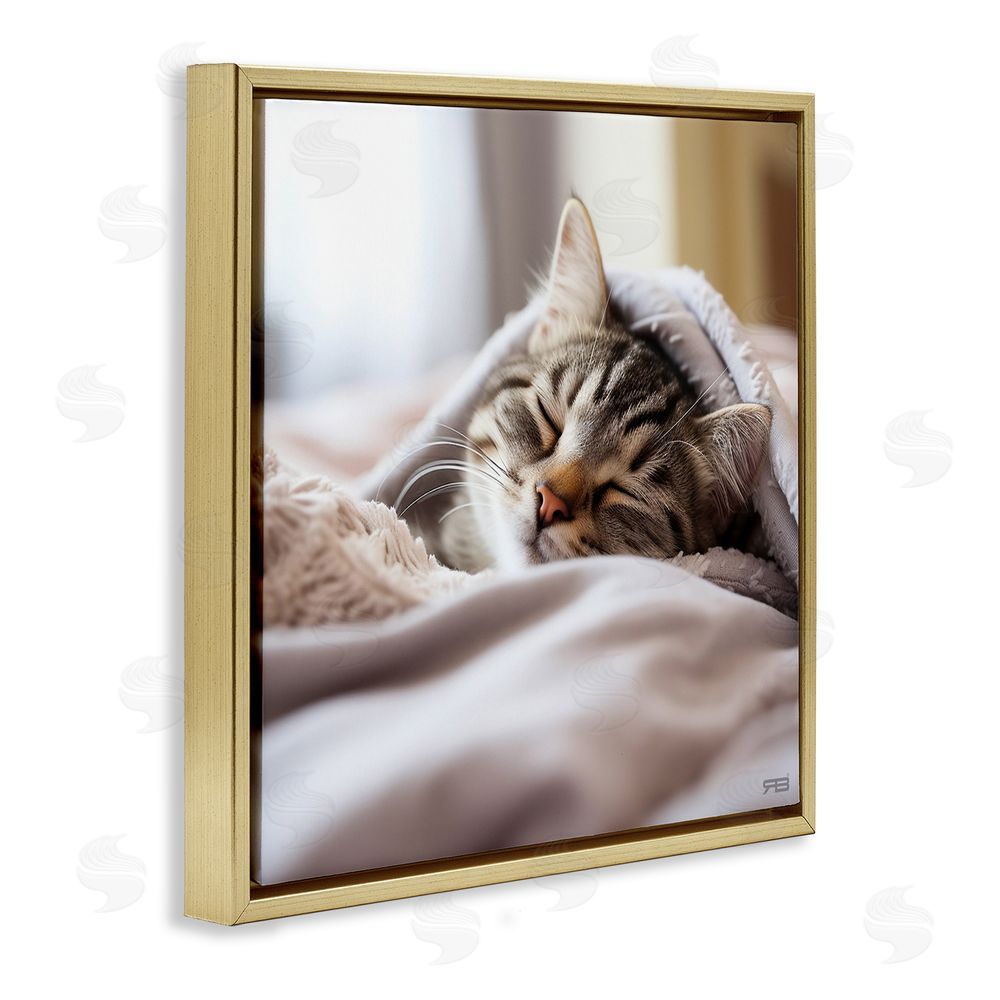 RB Cozy Sleeping Kitten Gold Floating Frame Canvas Wall Art Print