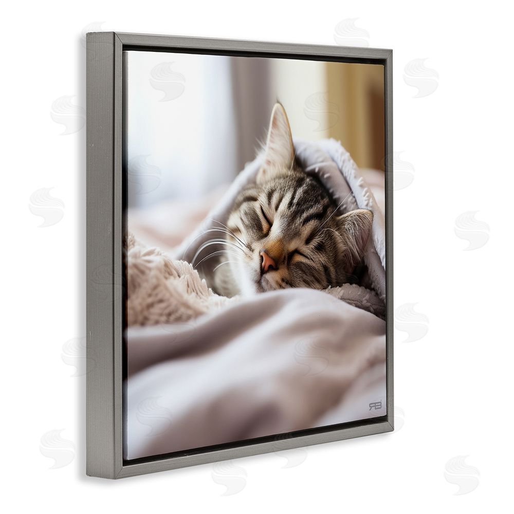 RB Cozy Sleeping Kitten Gray Floating Frame Canvas Wall Art Print