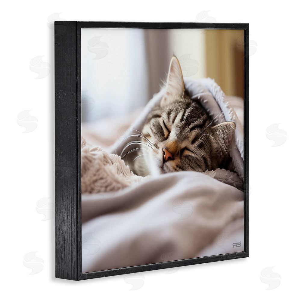 RB Cozy Sleeping Kitten Black Framed Glicee Wall Art Print