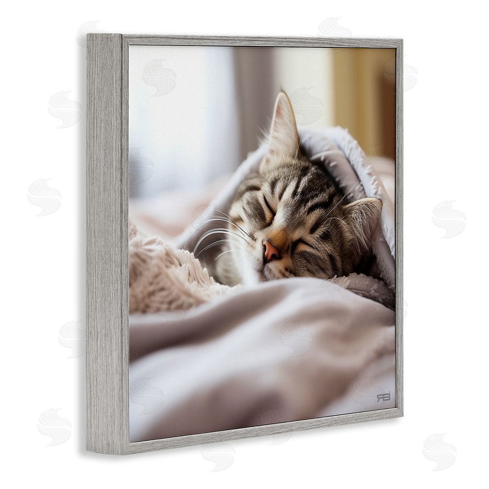 RB Cozy Sleeping Kitten Gray Framed Glicee Wall Art Print