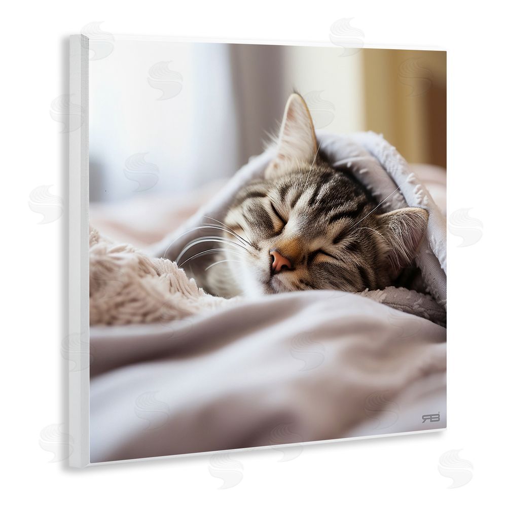 RB Cozy Sleeping Kitten Wooden Wall Plaque Art Print