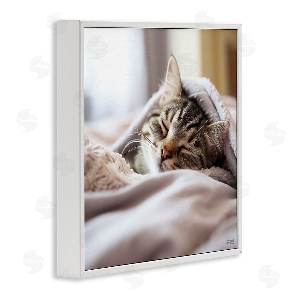 RB Cozy Sleeping Kitten White Framed Glicee Wall Art Print