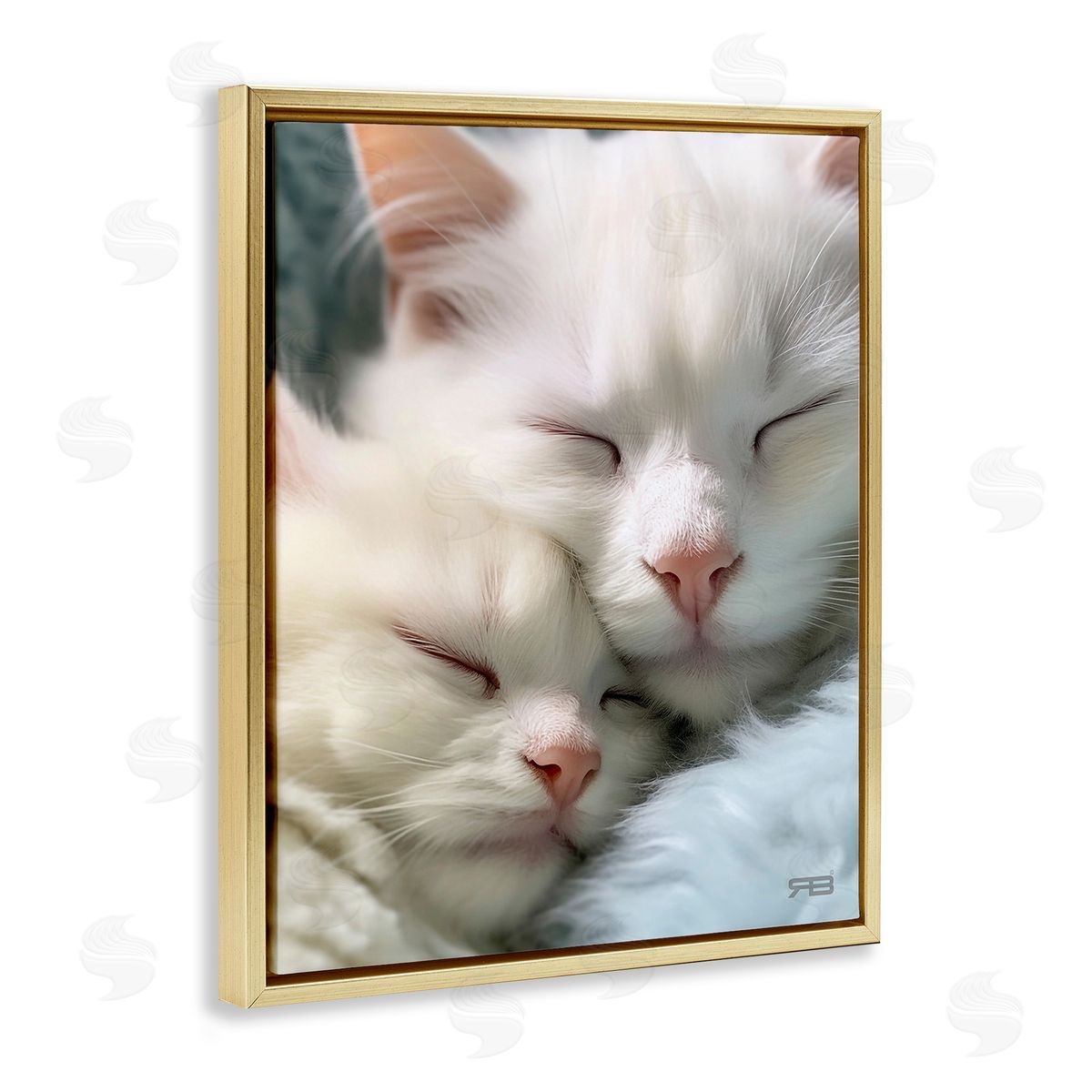 RB Cuddling White Cats