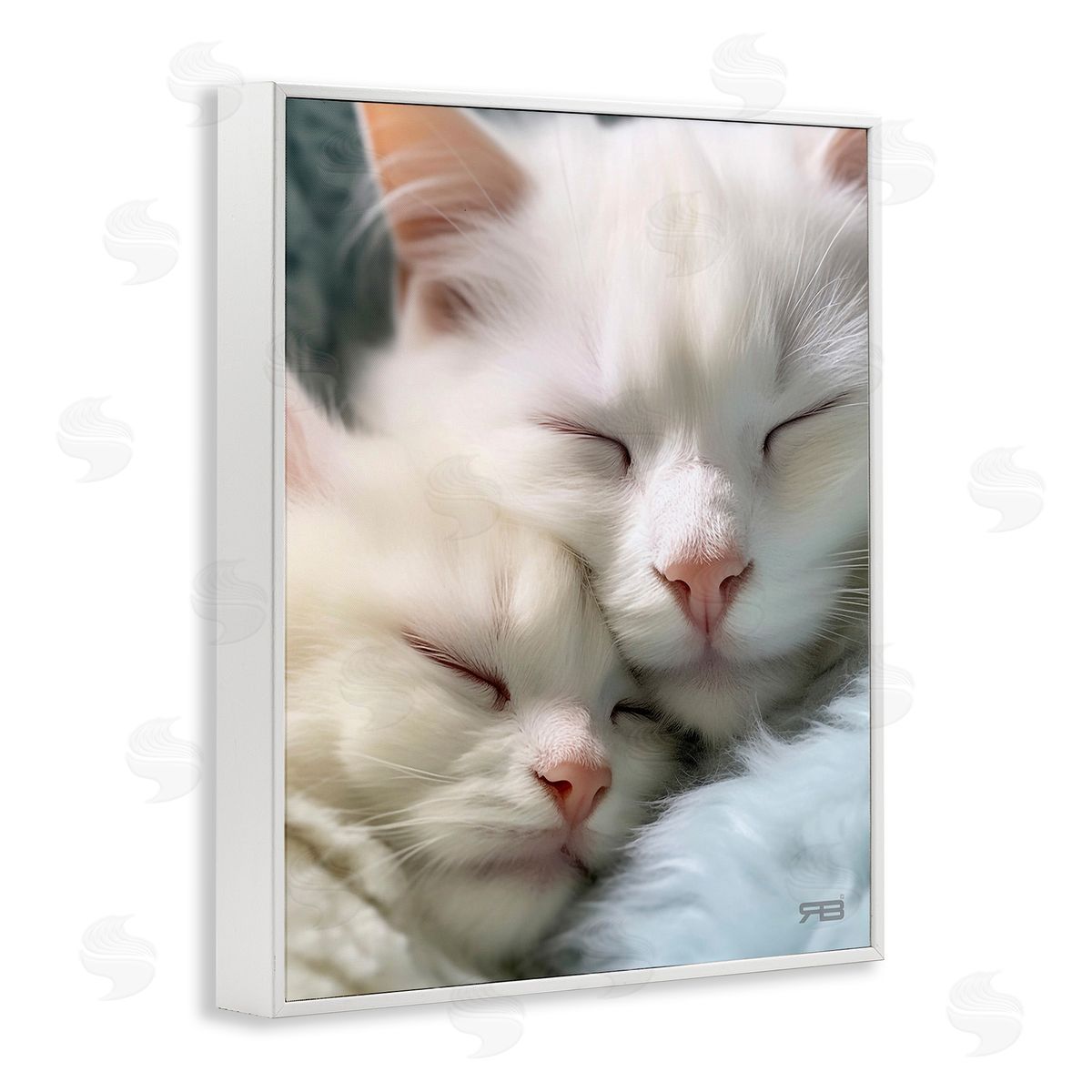 RB Cuddling White Cats