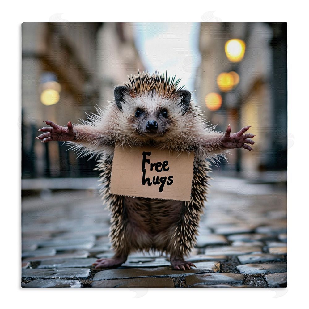 RB Free Hugs Hedgehog Stretched Canvas Wall Art Print