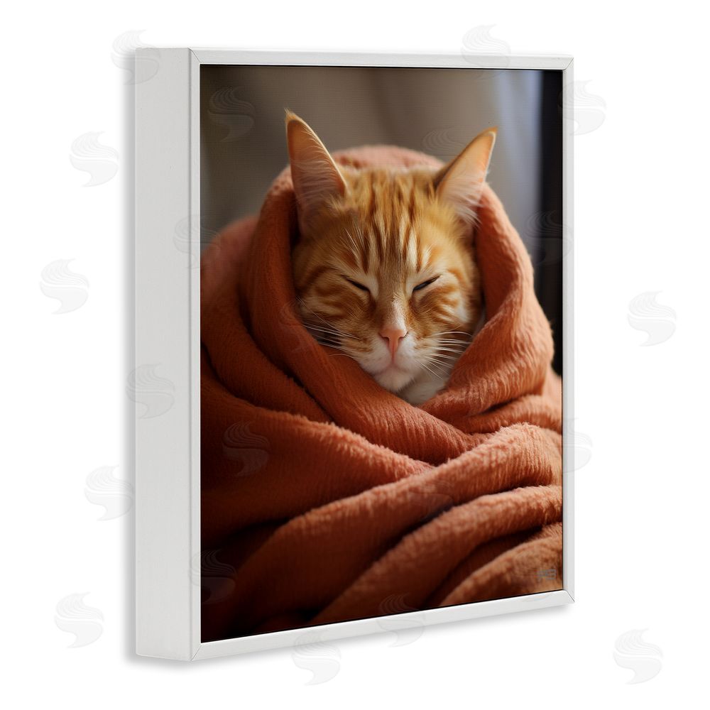 RB Cuddling Sleepy Cat White Framed Glicee Wall Art Print