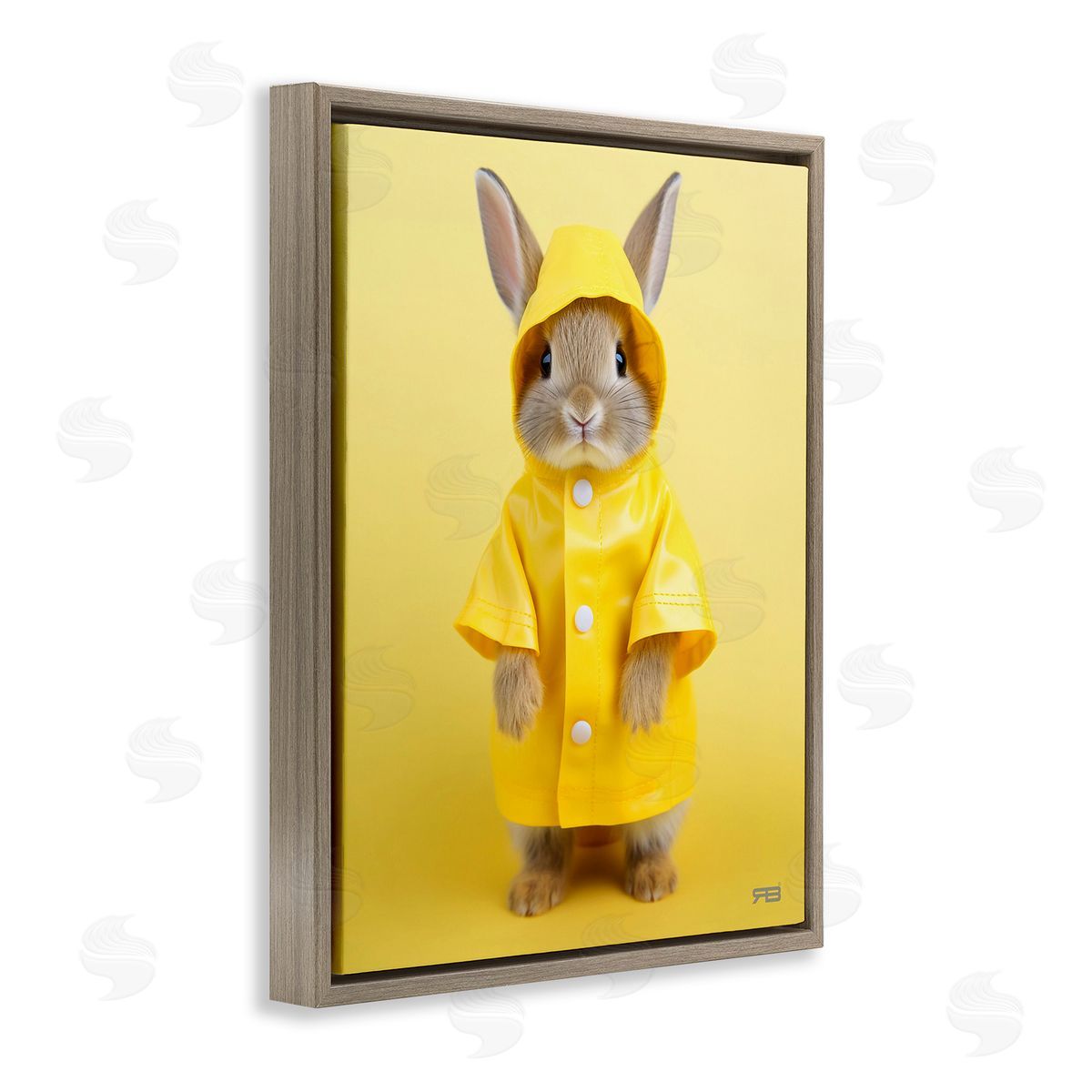 RB Rabbit in Rain Coat
