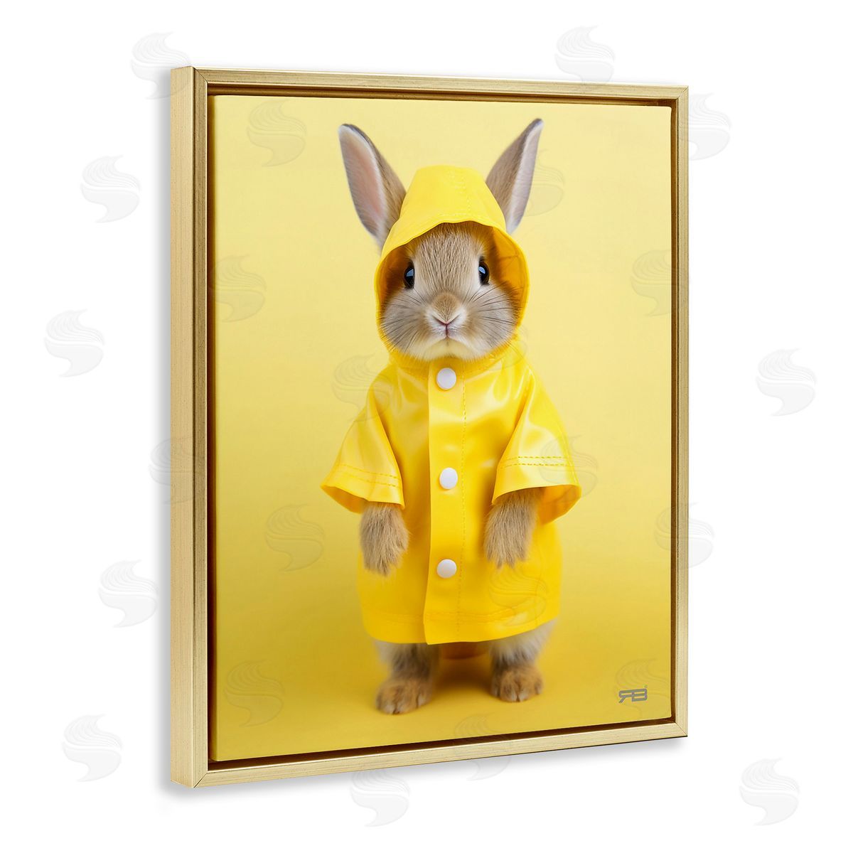 RB Rabbit in Rain Coat