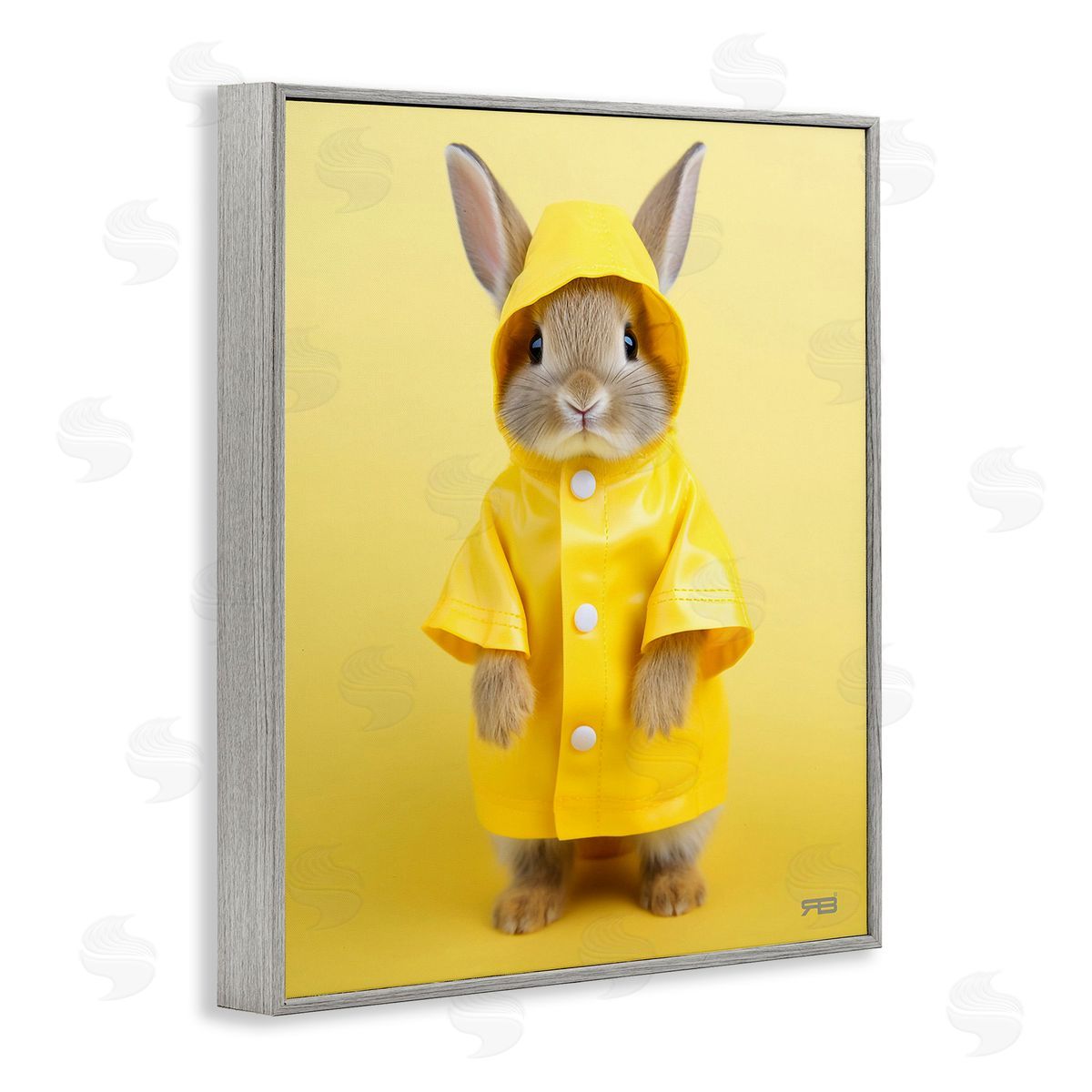 RB Rabbit in Rain Coat