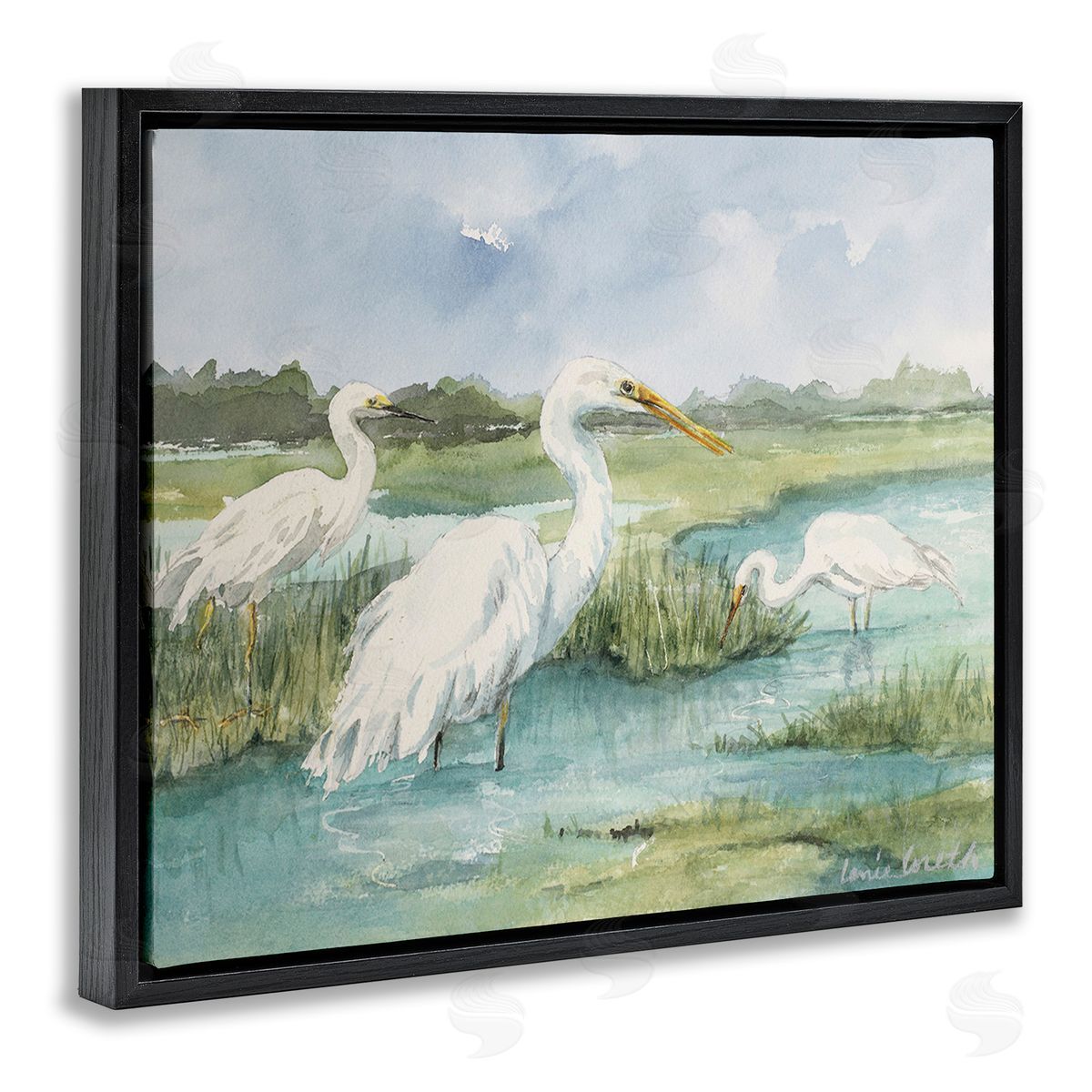 Lanie Loreth Wild Egrets in Marshland
