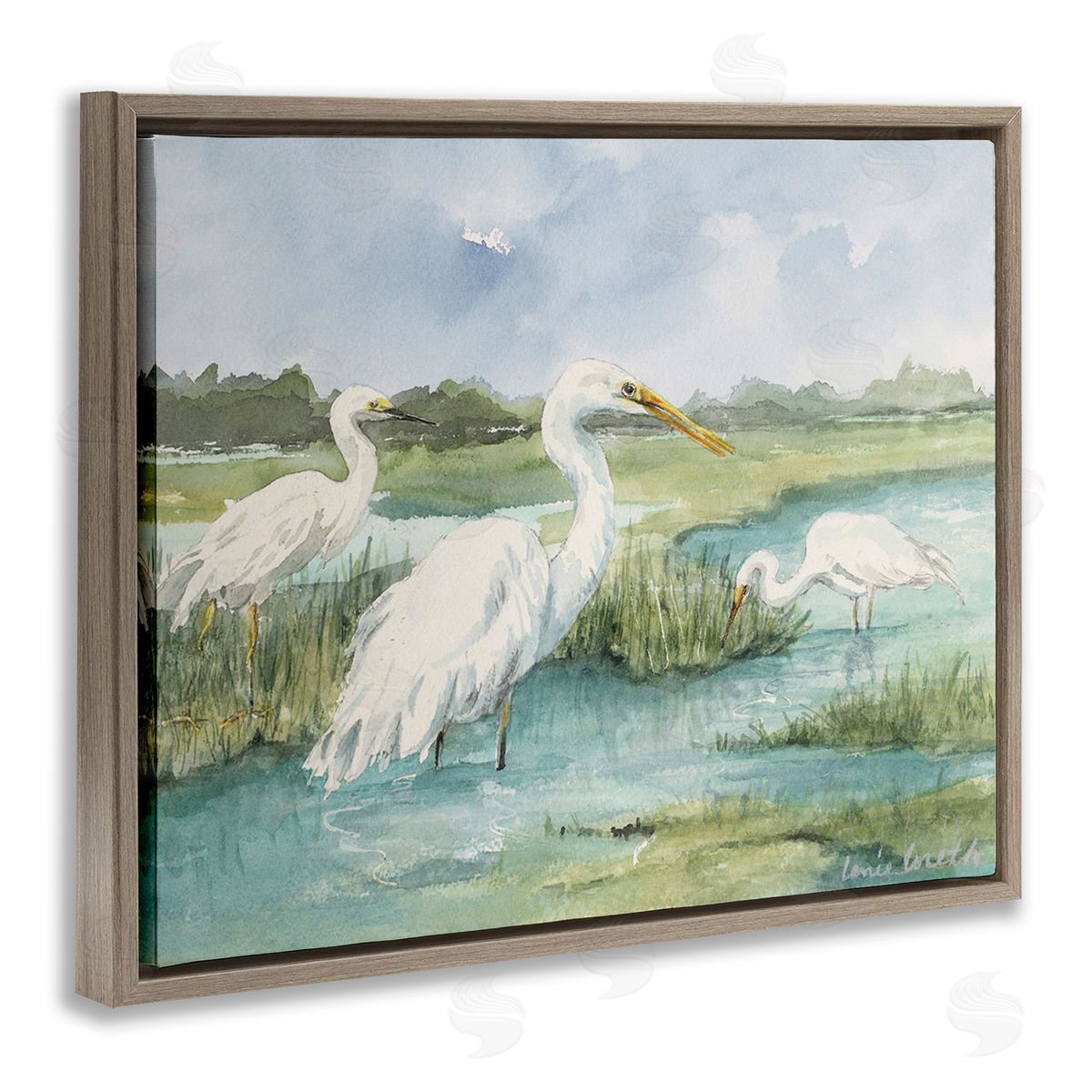 Lanie Loreth Wild Egrets in Marshland