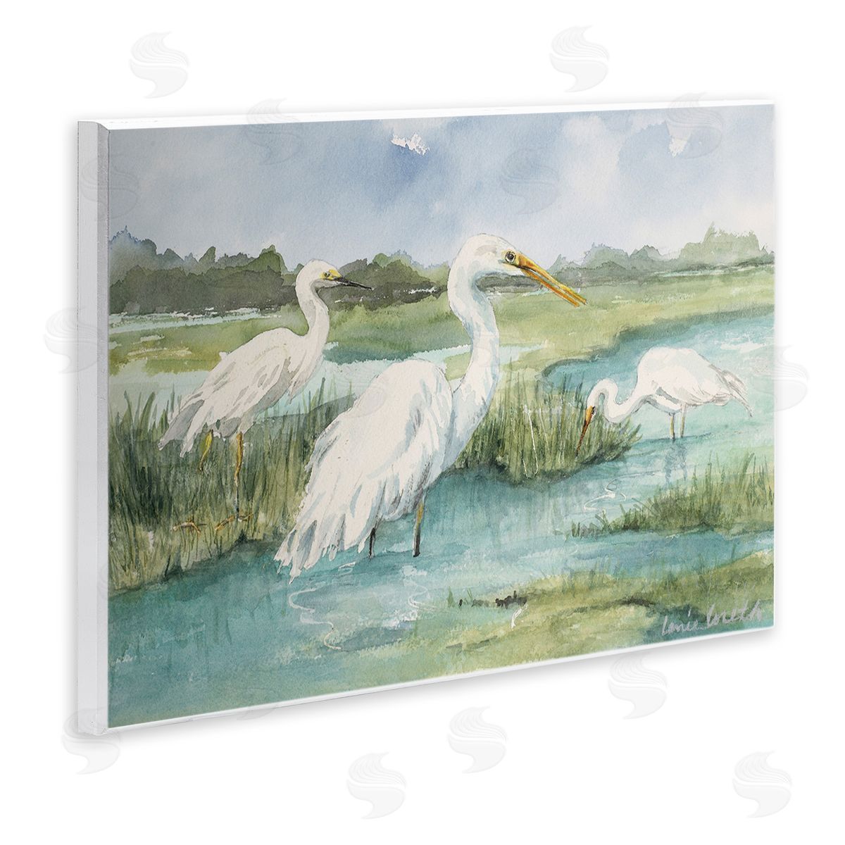 Lanie Loreth Wild Egrets in Marshland