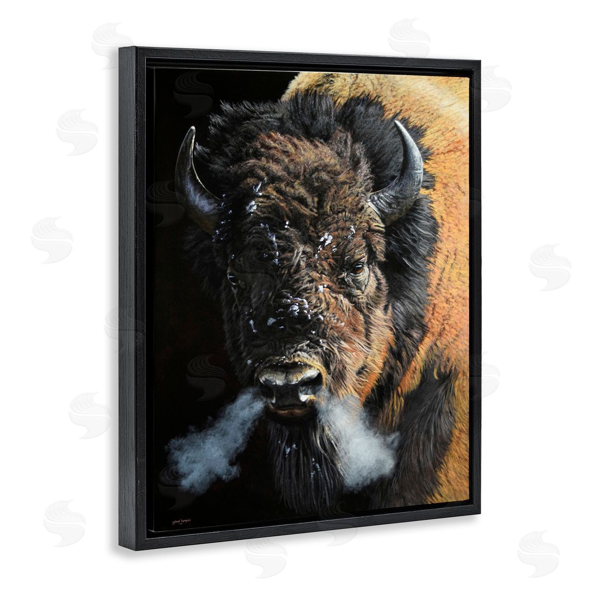 Steve Burgess Bison Breathing Steam