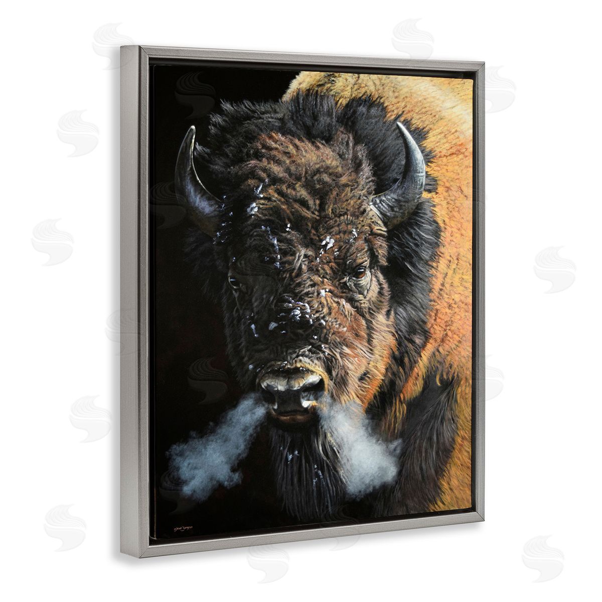Steve Burgess Bison Breathing Steam