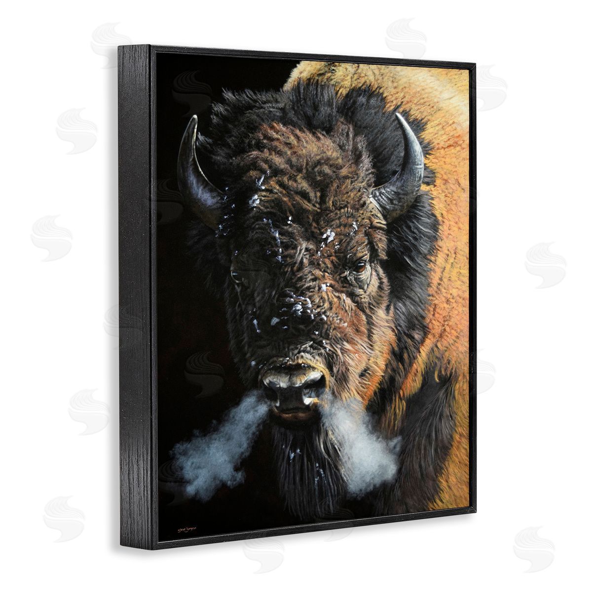 Steve Burgess Bison Breathing Steam