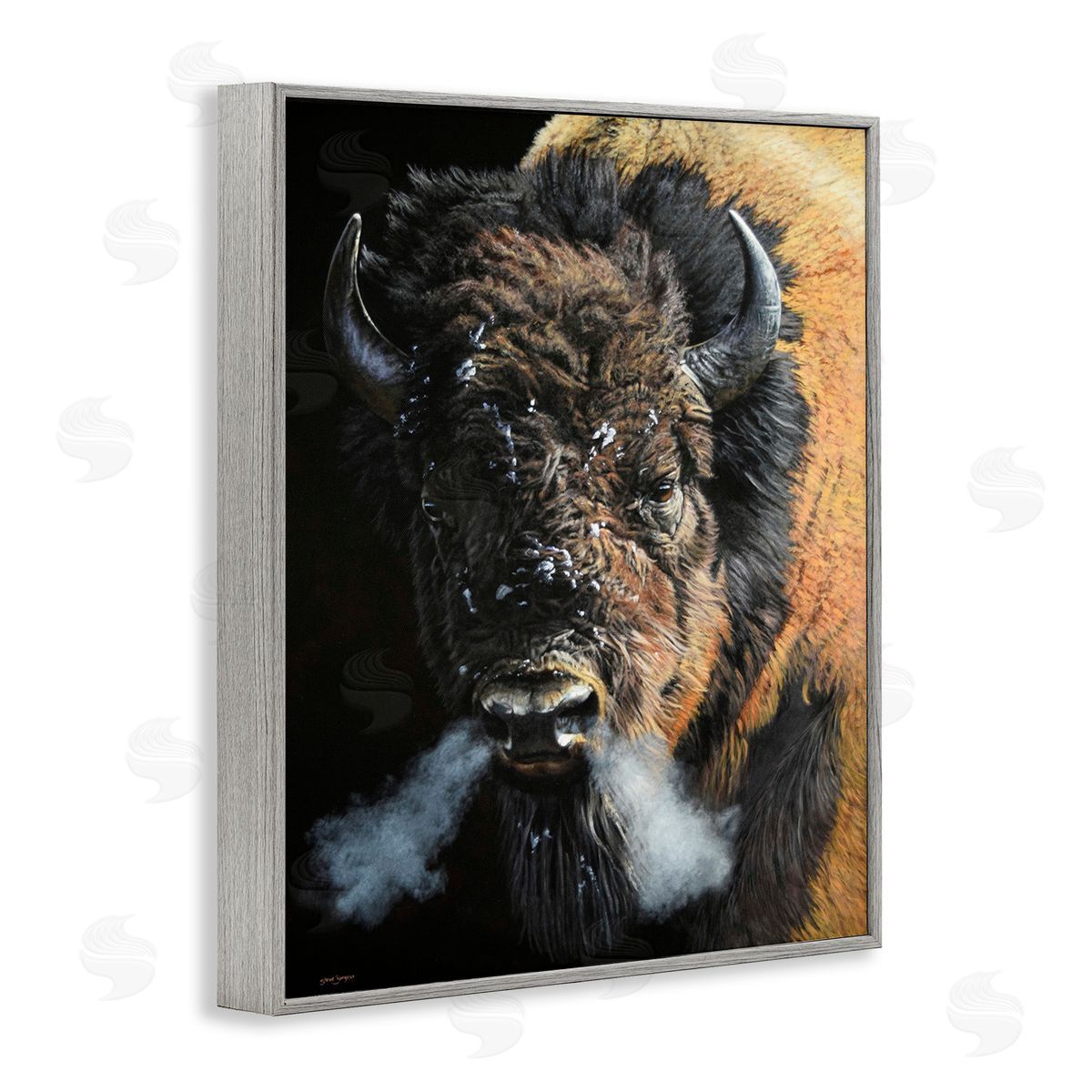 Steve Burgess Bison Breathing Steam