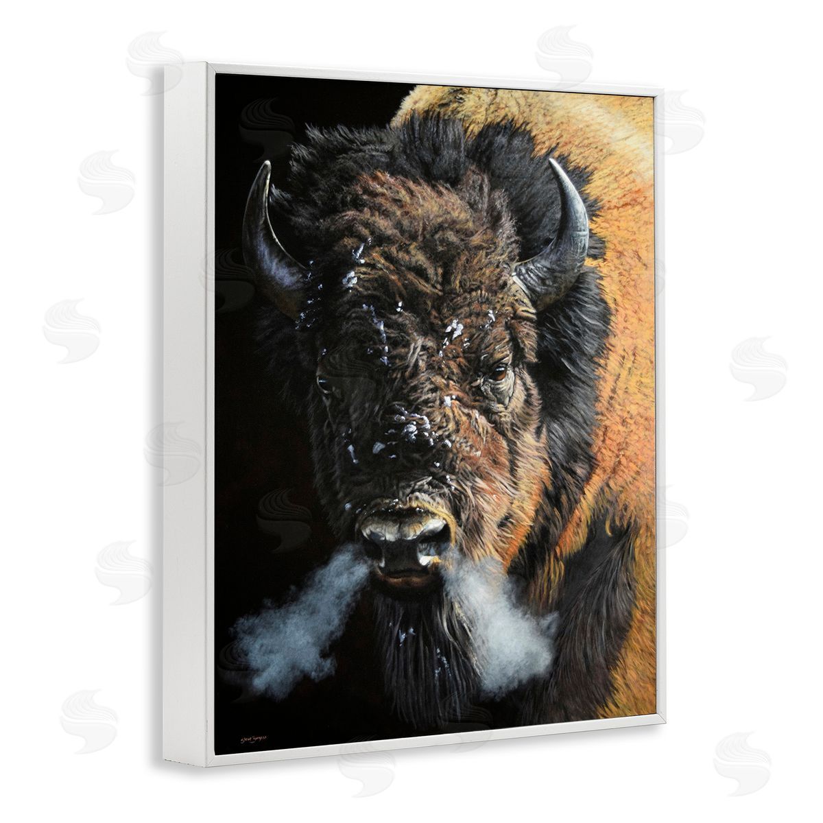 Steve Burgess Bison Breathing Steam